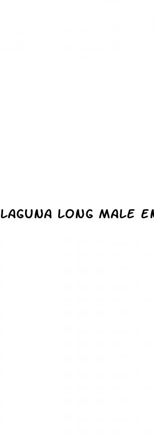 laguna long male enhancement