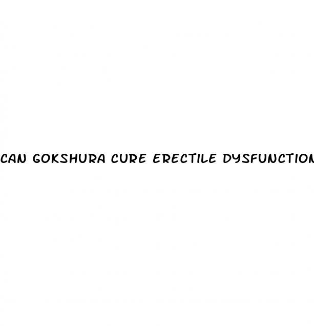 can gokshura cure erectile dysfunction