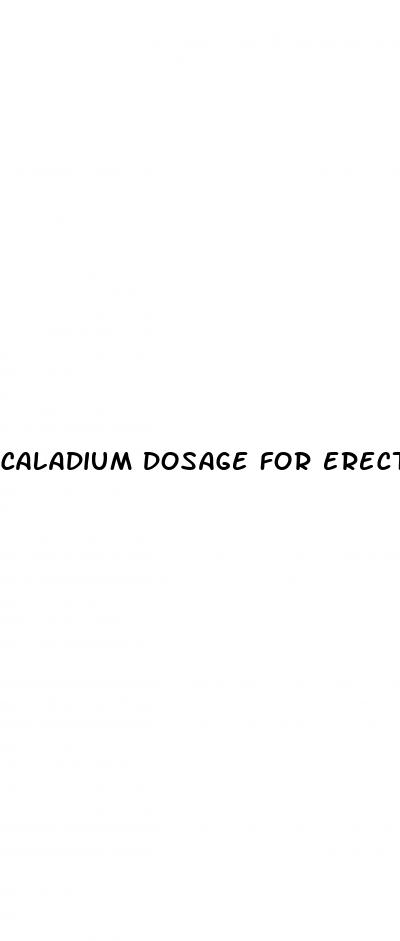 caladium dosage for erectile dysfunction