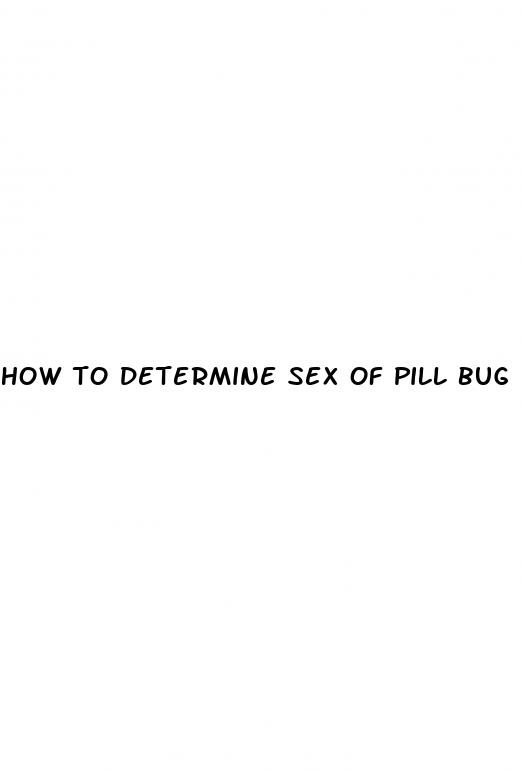 how to determine sex of pill bug