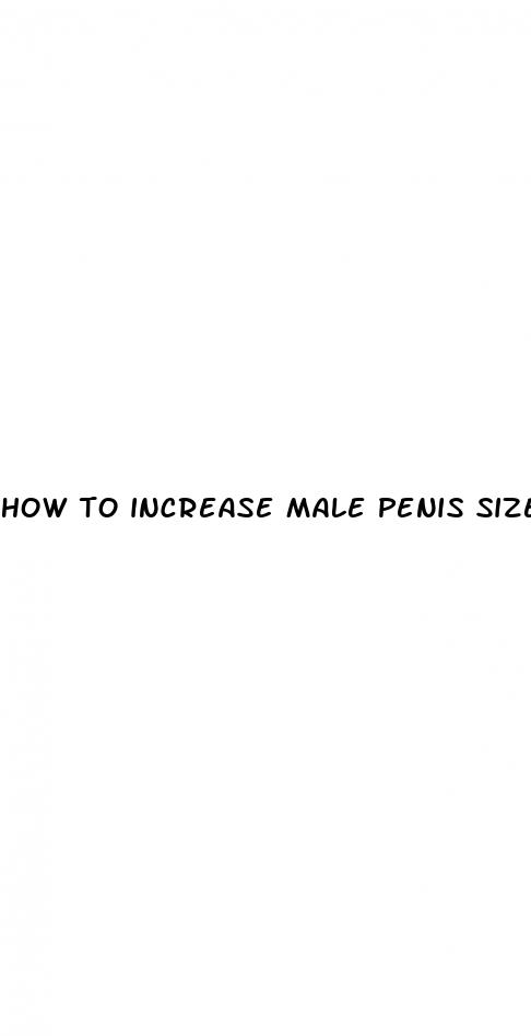 how to increase male penis size