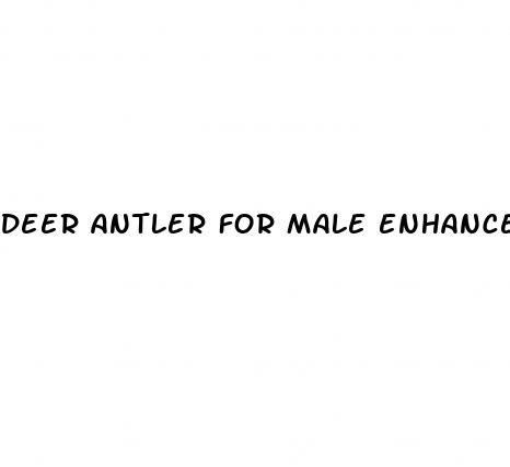 deer antler for male enhancement