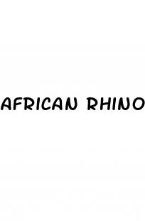 african rhino pill