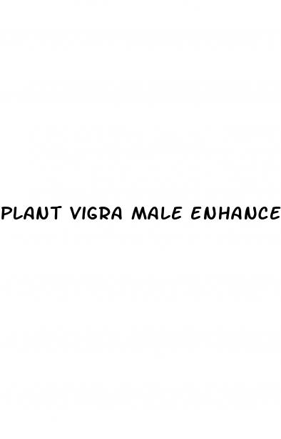 plant vigra male enhancement pills reviews