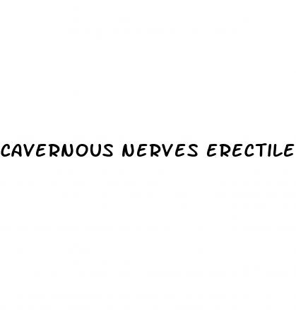 cavernous nerves erectile dysfunction