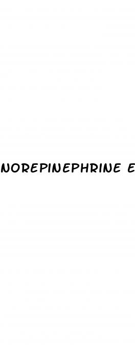 norepinephrine erectile dysfunction