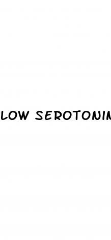 low serotonin erectile dysfunction