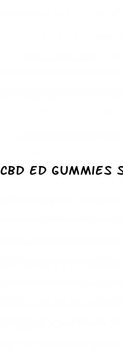 cbd ed gummies shark tank