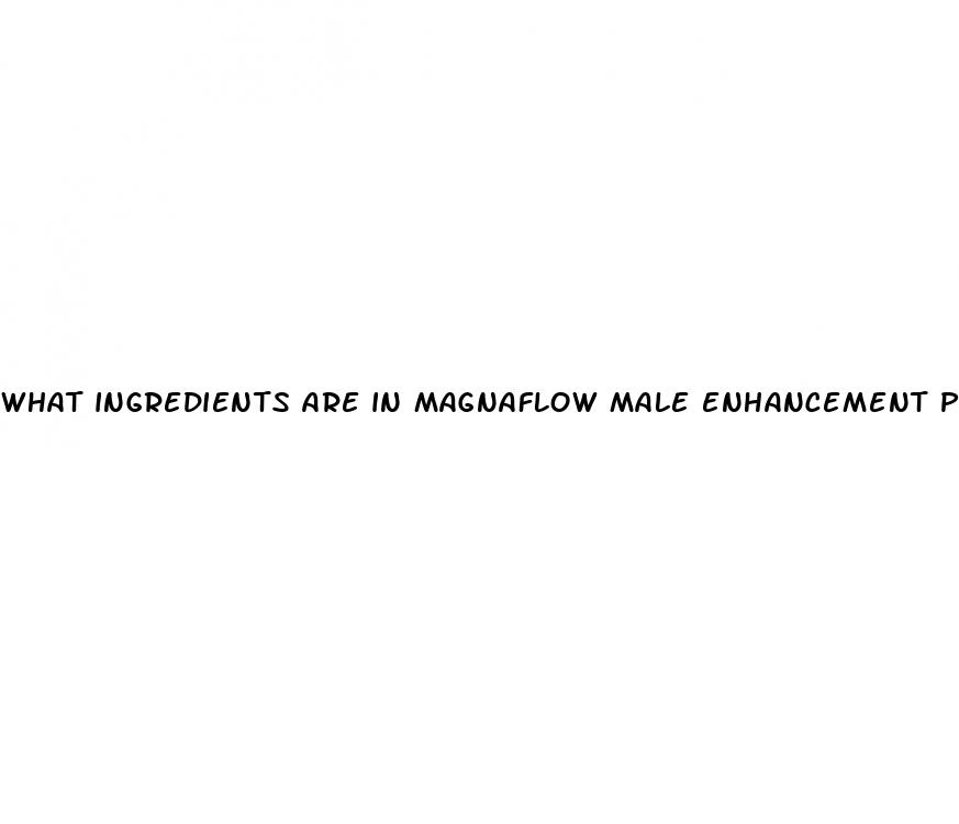 what ingredients are in magnaflow male enhancement pills