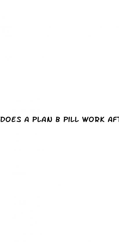 does a plan b pill work after sex