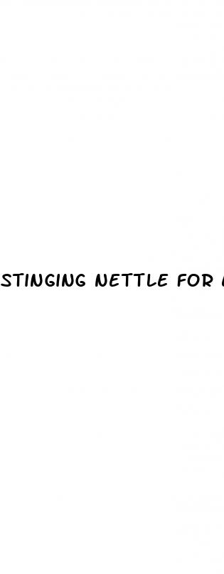 stinging nettle for erectile dysfunction