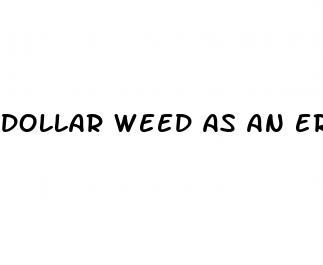 dollar weed as an erectile dysfunction plant