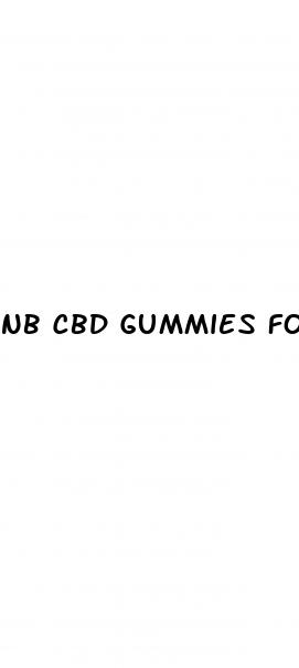 nb cbd gummies for ed