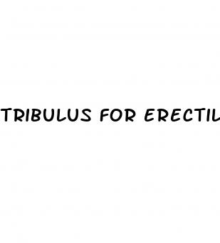 tribulus for erectile dysfunction