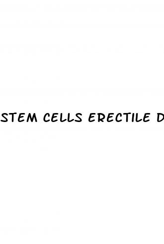 stem cells erectile dysfunction