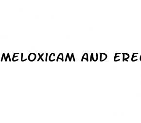 meloxicam and erectile dysfunction