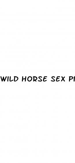 wild horse sex pills