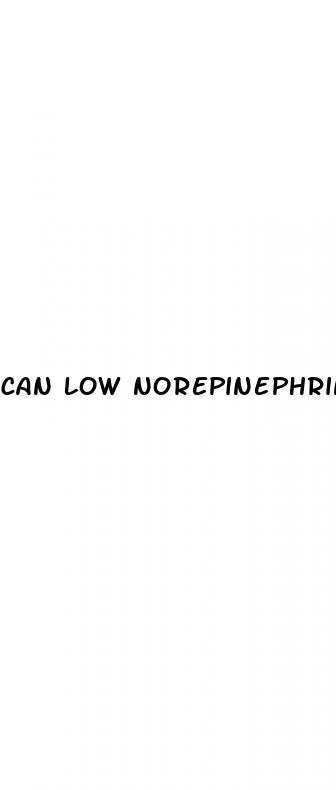 can low norepinephrine cause erectile dysfunction