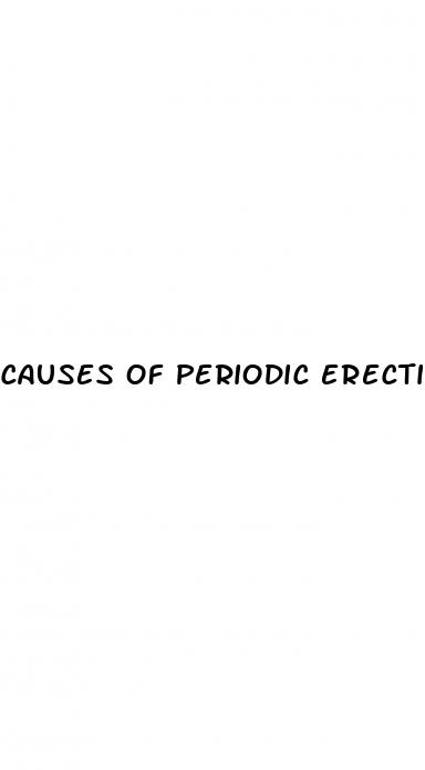 causes of periodic erectile dysfunction