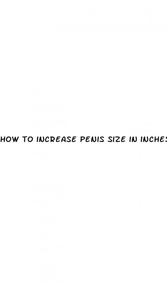 how to increase penis size in inches