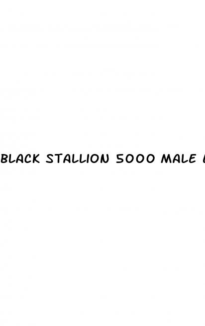 black stallion 5000 male enhancement