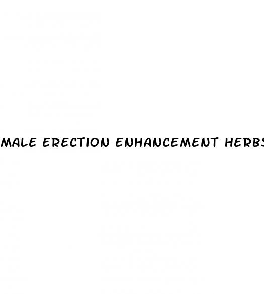 male erection enhancement herbs