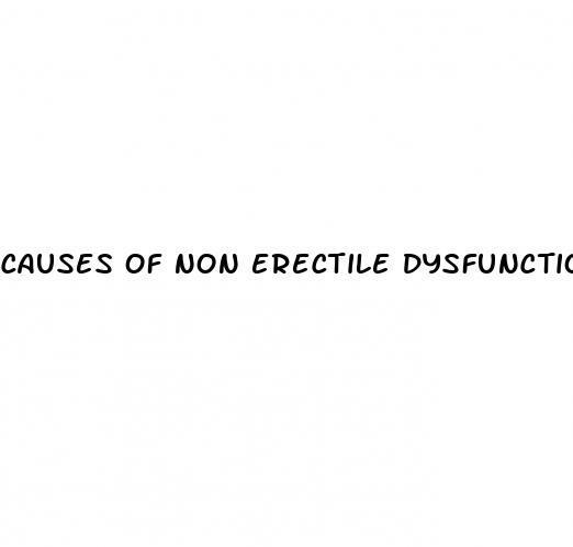 causes of non erectile dysfunction