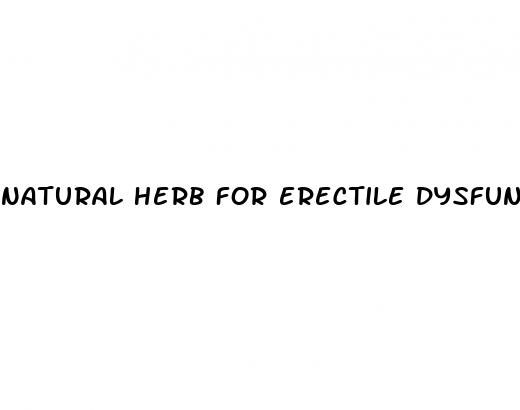 natural herb for erectile dysfunction