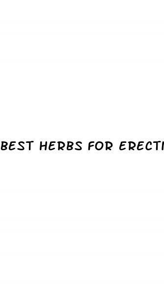 best herbs for erectile dysfunction