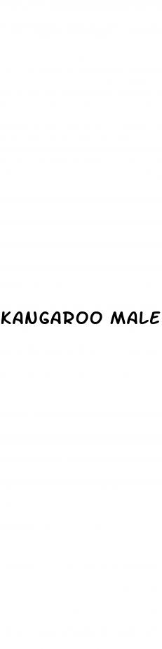 kangaroo male enhancer pills