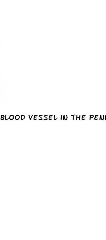 blood vessel in the penis for erectile dysfunction