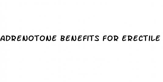 Adrenotone Benefits For Erectile Dysfunction - Is Onions Good For Erections
