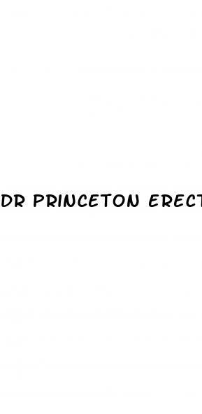 Dr Princeton Erectile Dysfunction: Male Penis Size Enhancement - ﻿Pendidikan