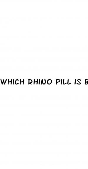 Which Rhino Pill Is Best - ﻿Pendidikan