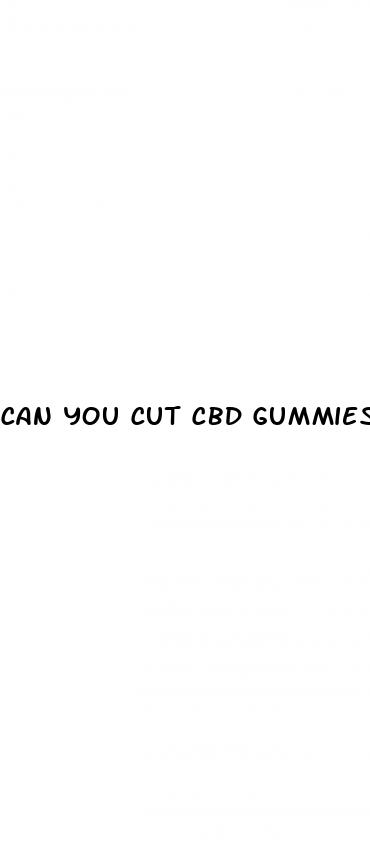 can you cut cbd gummies in half