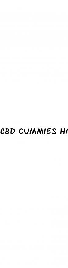 cbd gummies hartford ct