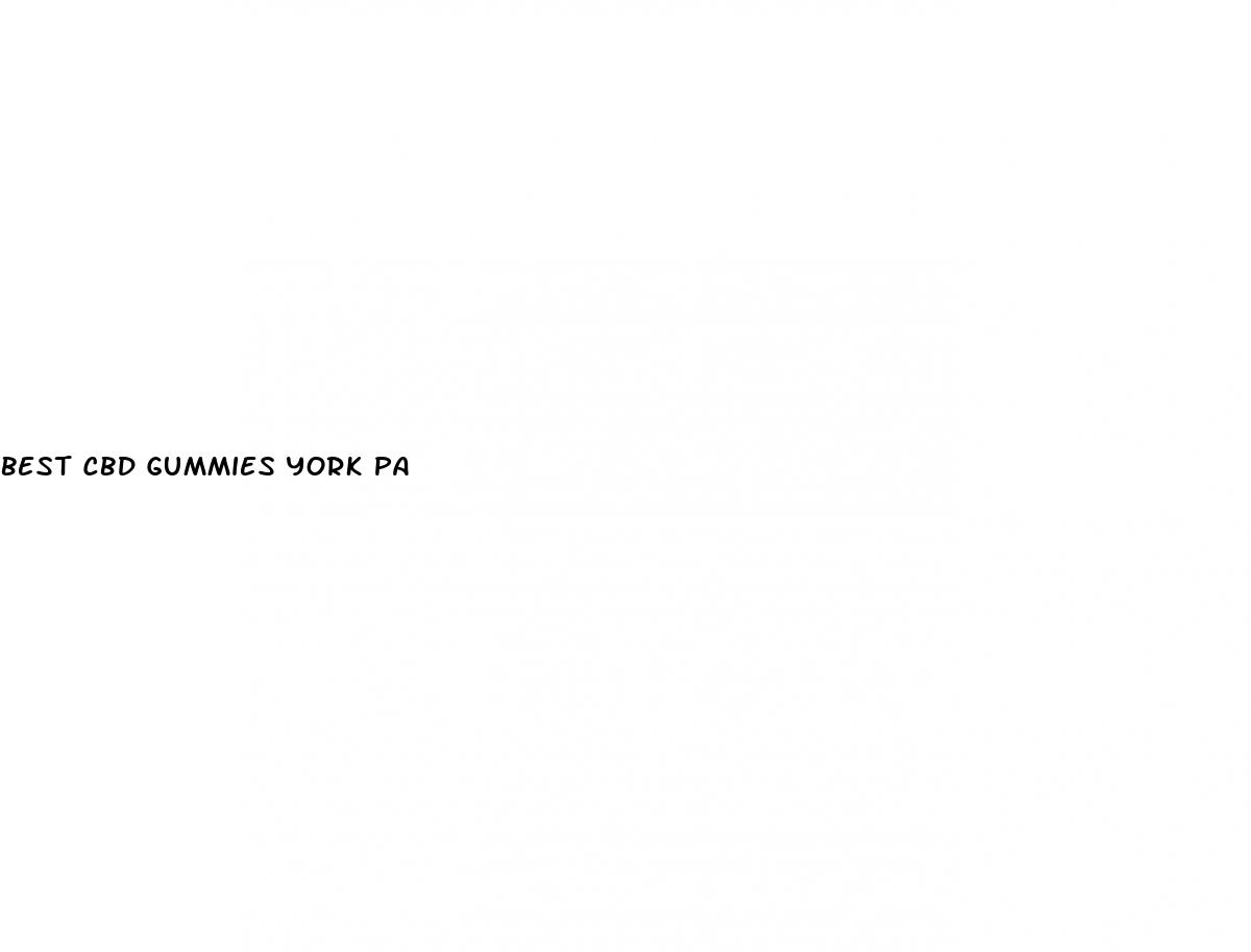 best cbd gummies york pa