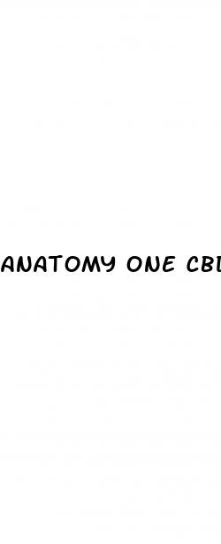 anatomy one cbd gummies for dementia