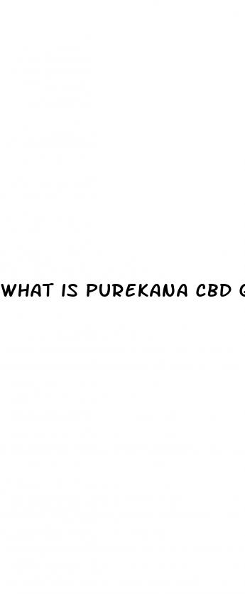 what is purekana cbd gummies