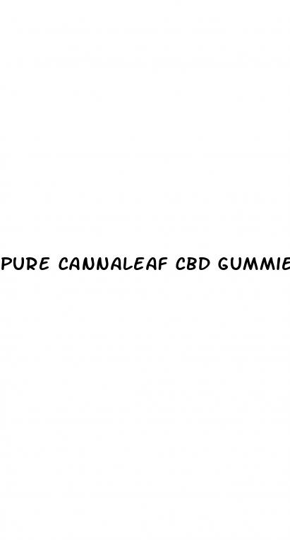 pure cannaleaf cbd gummies