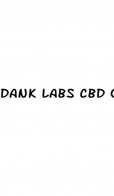 dank labs cbd gummies