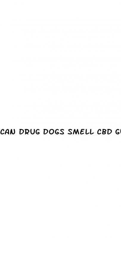 can drug dogs smell cbd gummies