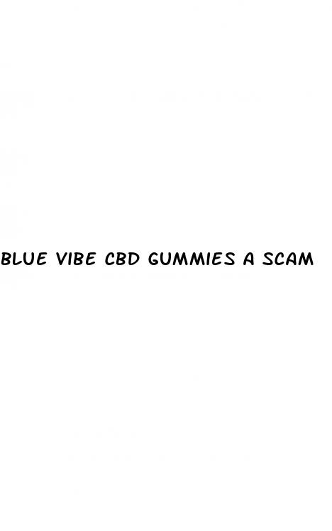 blue vibe cbd gummies a scam