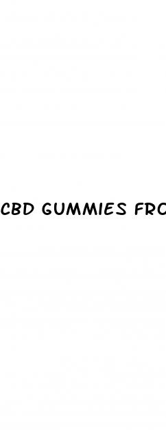 cbd gummies from c4 healthlabs