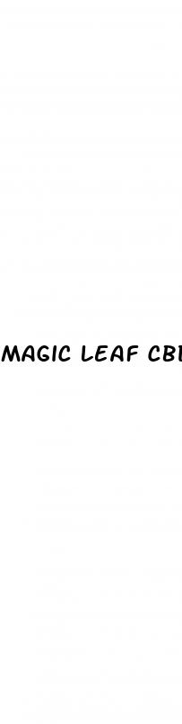 magic leaf cbd gummies