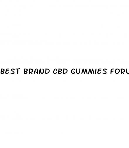 best brand cbd gummies forum
