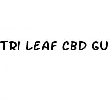 tri leaf cbd gummies ingredients