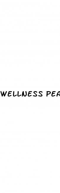 wellness peak cbd gummies review