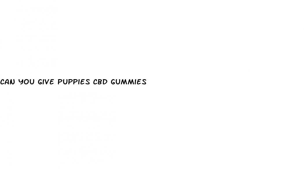 can you give puppies cbd gummies