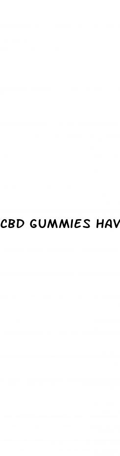 cbd gummies have weed